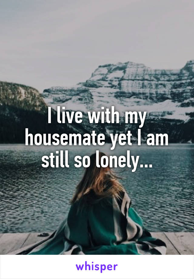 I live with my housemate yet I am still so lonely...