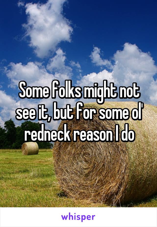 Some folks might not see it, but for some ol' redneck reason I do