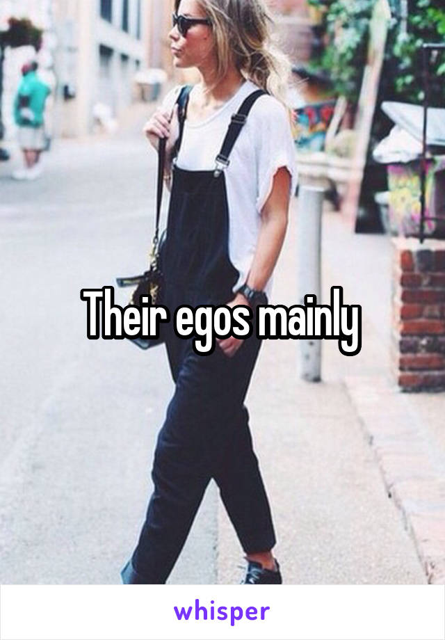 Their egos mainly 