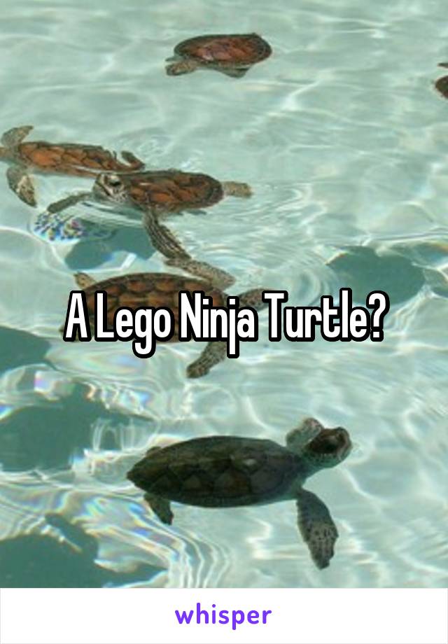 A Lego Ninja Turtle?