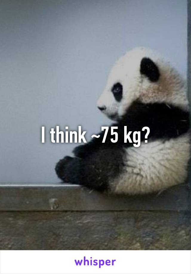 I think ~75 kg?