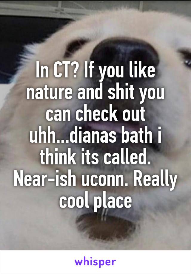 In CT? If you like nature and shit you can check out uhh...dianas bath i think its called. Near-ish uconn. Really cool place