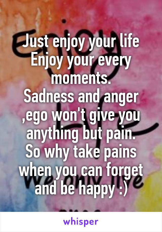 Just enjoy your life
Enjoy your every moments.
Sadness and anger ,ego won't give you anything but pain.
So why take pains when you can forget and be happy :)