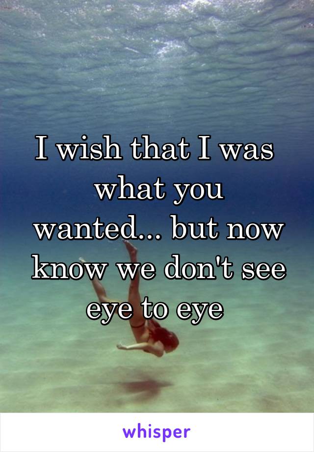 I wish that I was 
what you wanted... but now know we don't see eye to eye 