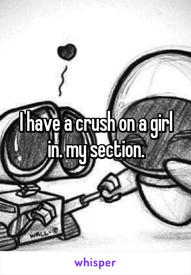I have a crush on a girl in. my section.
