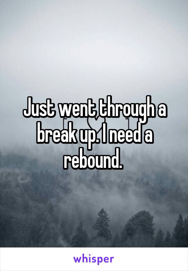 Just went through a break up. I need a rebound. 