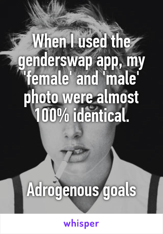 When I used the genderswap app, my 'female' and 'male' photo were almost 100% identical.



Adrogenous goals