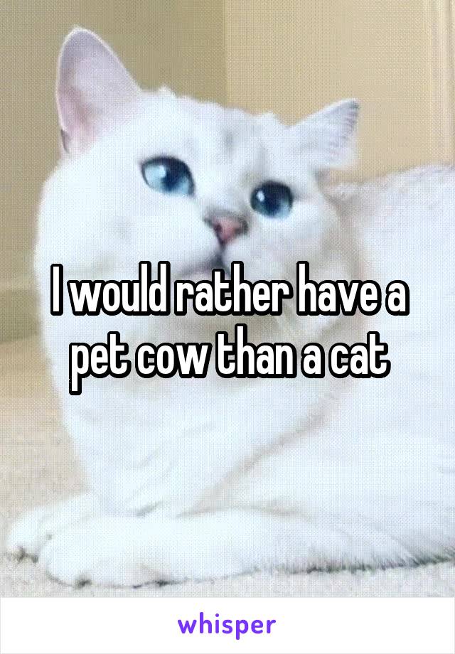I would rather have a pet cow than a cat