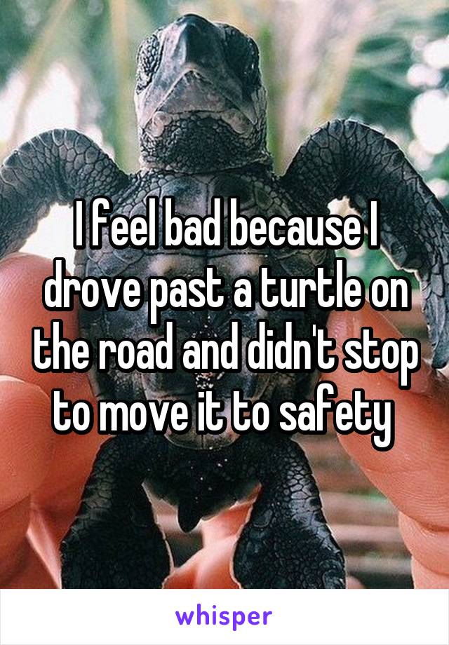 I feel bad because I drove past a turtle on the road and didn't stop to move it to safety 