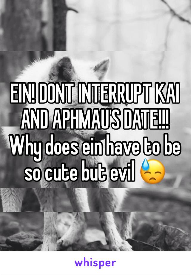 EIN! DONT INTERRUPT KAI AND APHMAU'S DATE!!! Why does ein have to be so cute but evil 😓