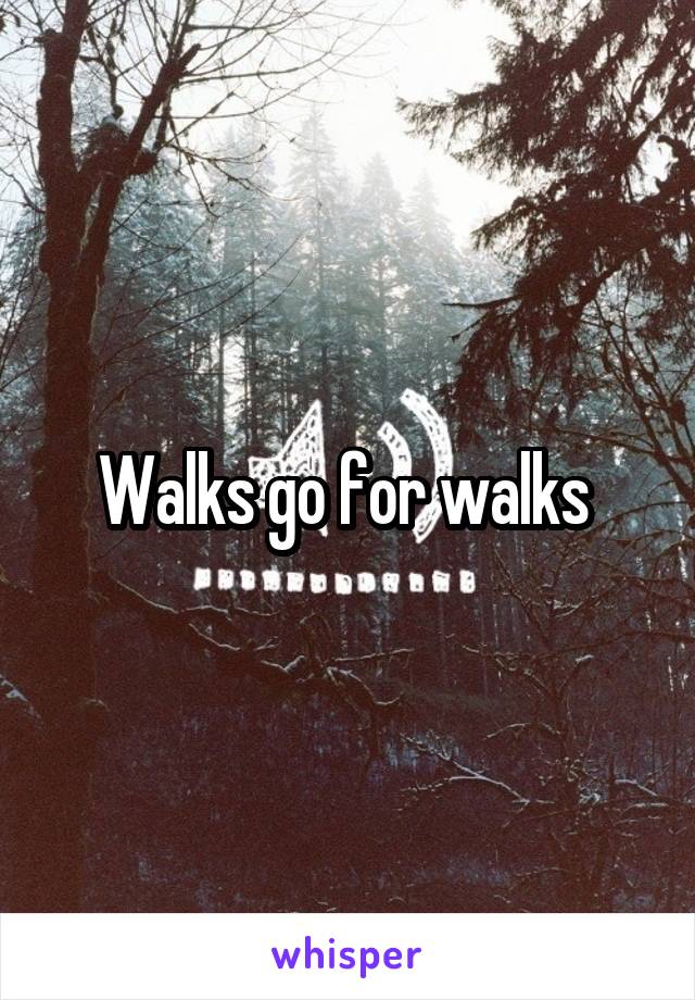 Walks go for walks 