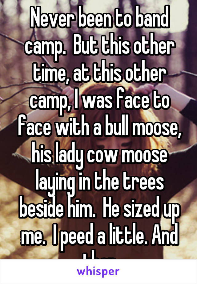 Never been to band camp.  But this other time, at this other camp, I was face to face with a bull moose, his lady cow moose laying in the trees beside him.  He sized up me.  I peed a little. And then