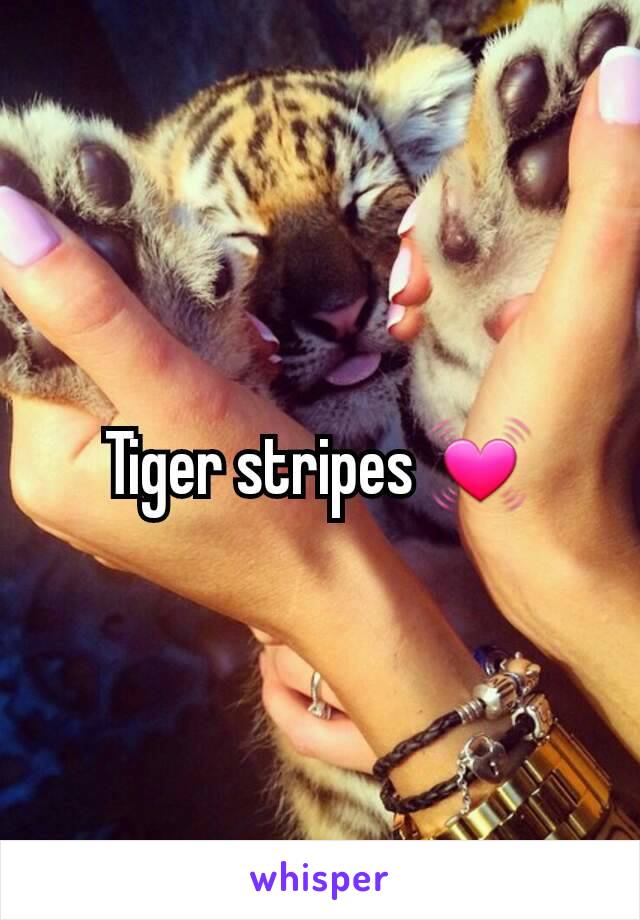 Tiger stripes 💓