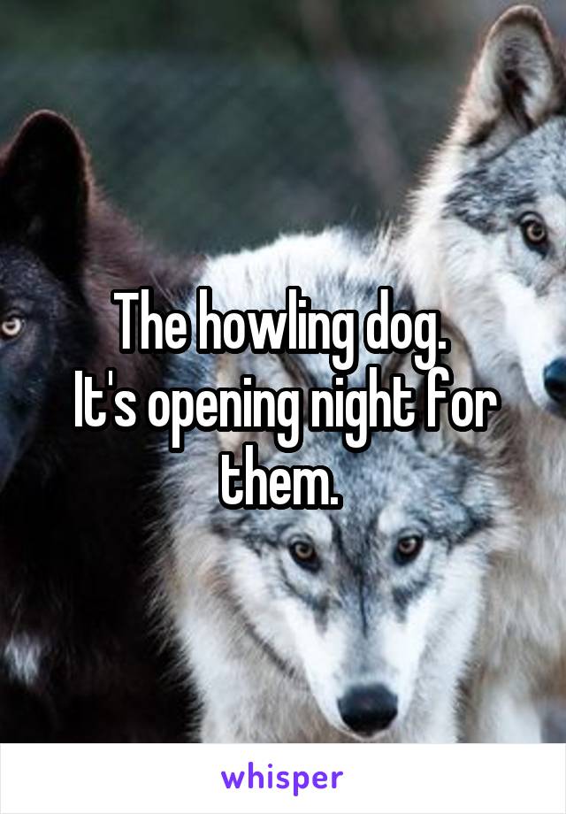 The howling dog. 
It's opening night for them. 