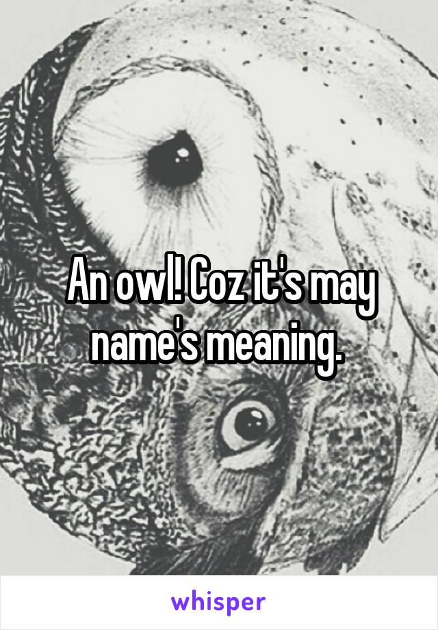 An owl! Coz it's may name's meaning. 