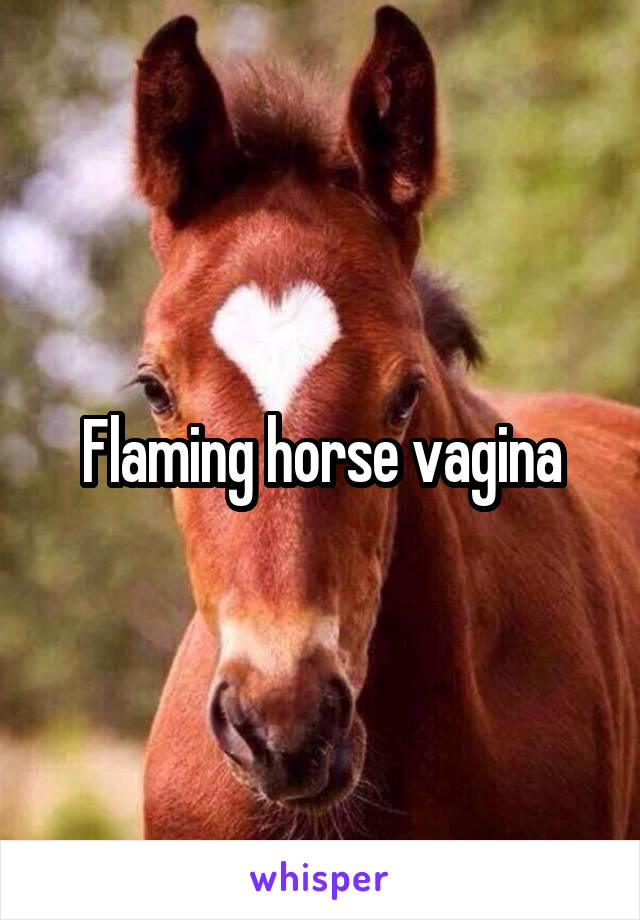 Flaming horse vagina