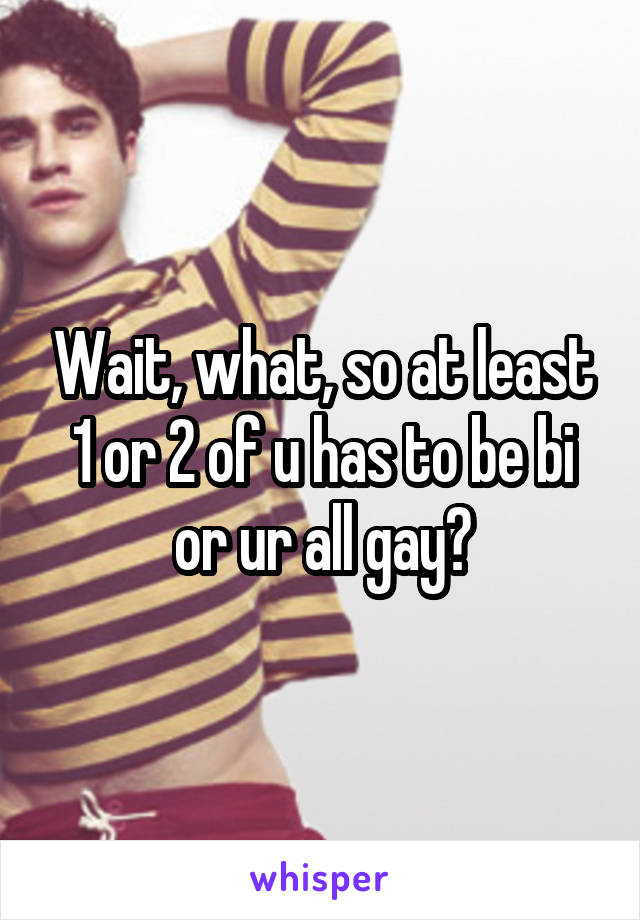 Wait, what, so at least 1 or 2 of u has to be bi or ur all gay?