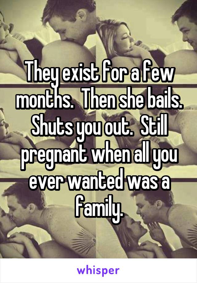 They exist for a few months.  Then she bails. Shuts you out.  Still pregnant when all you ever wanted was a family.