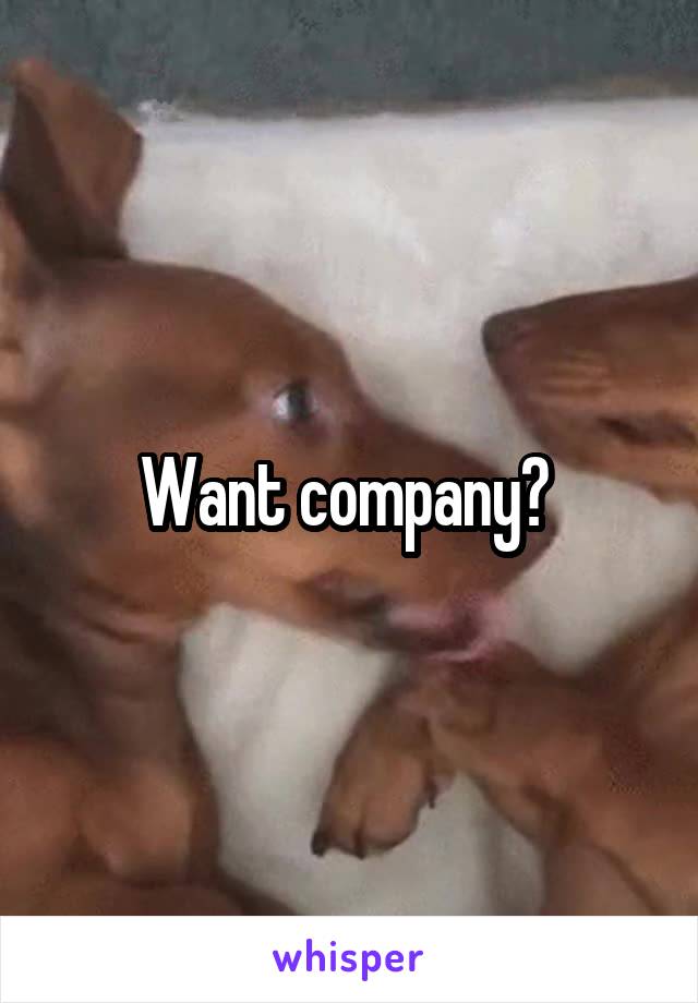 Want company? 