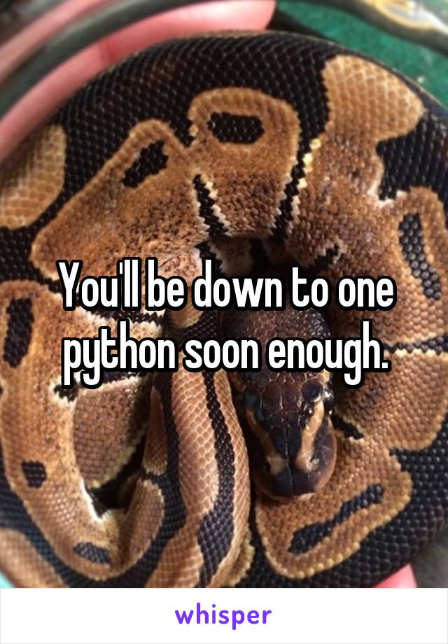 You'll be down to one python soon enough.