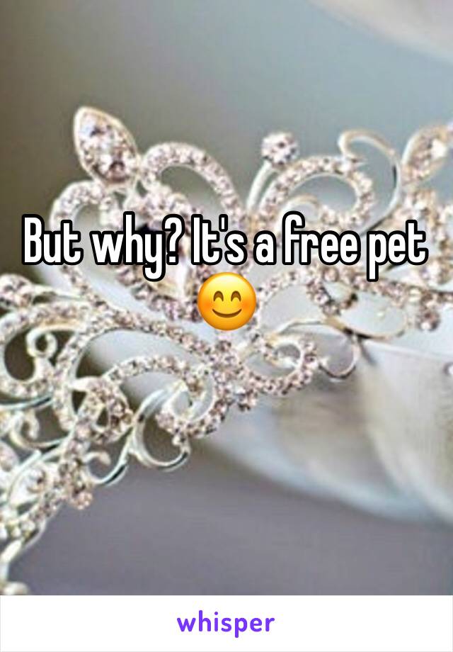 But why? It's a free pet 😊