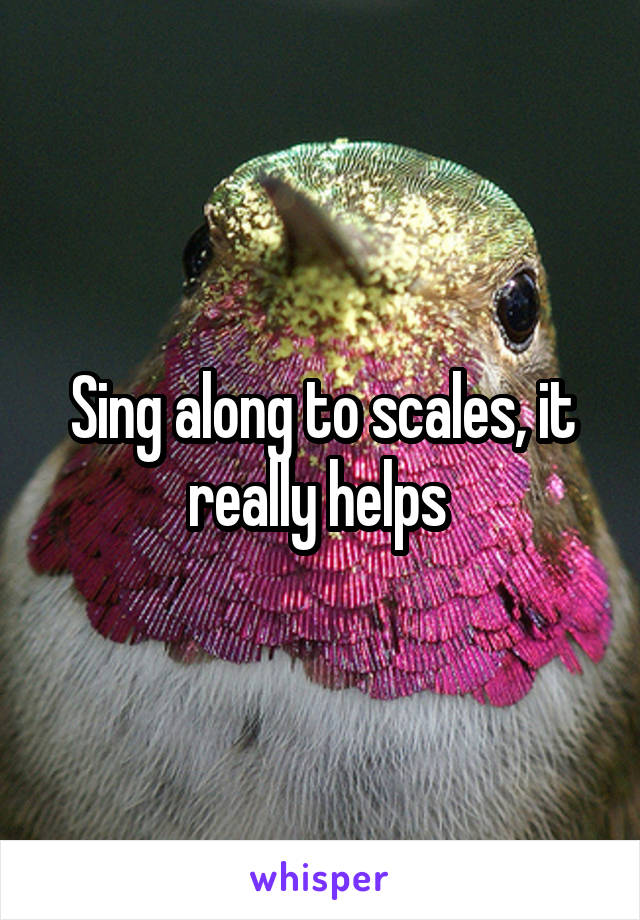 Sing along to scales, it really helps 