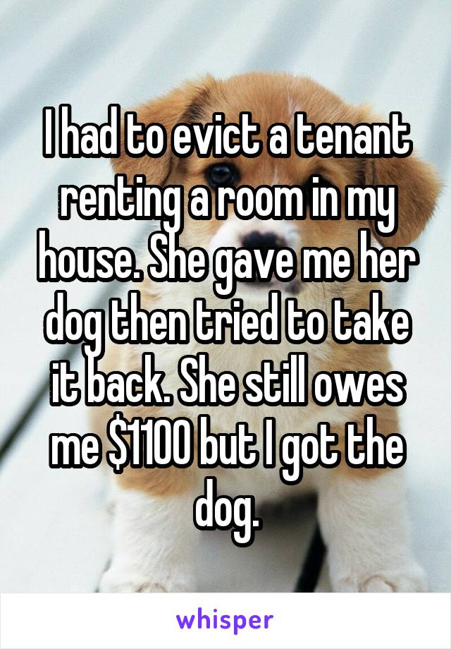 I had to evict a tenant renting a room in my house. She gave me her dog then tried to take it back. She still owes me $1100 but I got the dog.