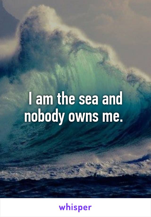 I am the sea and nobody owns me. 