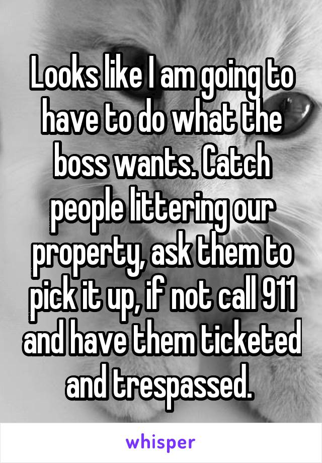 Looks like I am going to have to do what the boss wants. Catch people littering our property, ask them to pick it up, if not call 911 and have them ticketed and trespassed. 