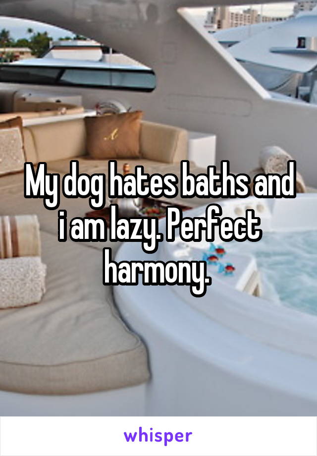 My dog hates baths and i am lazy. Perfect harmony. 