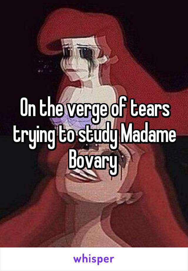 On the verge of tears trying to study Madame Bovary 