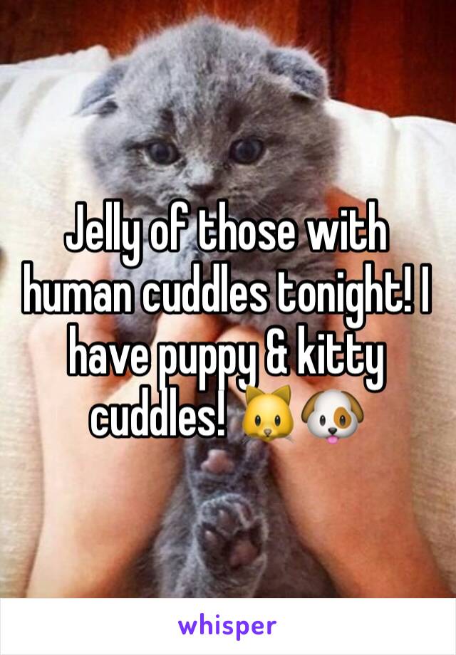 Jelly of those with human cuddles tonight! I have puppy & kitty cuddles! 🐱🐶