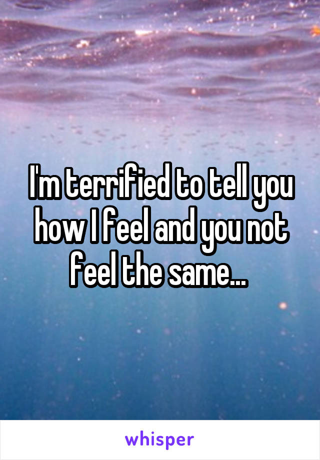 I'm terrified to tell you how I feel and you not feel the same... 