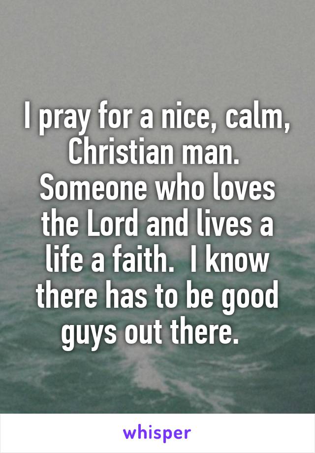 I pray for a nice, calm, Christian man.  Someone who loves the Lord and lives a life a faith.  I know there has to be good guys out there.  