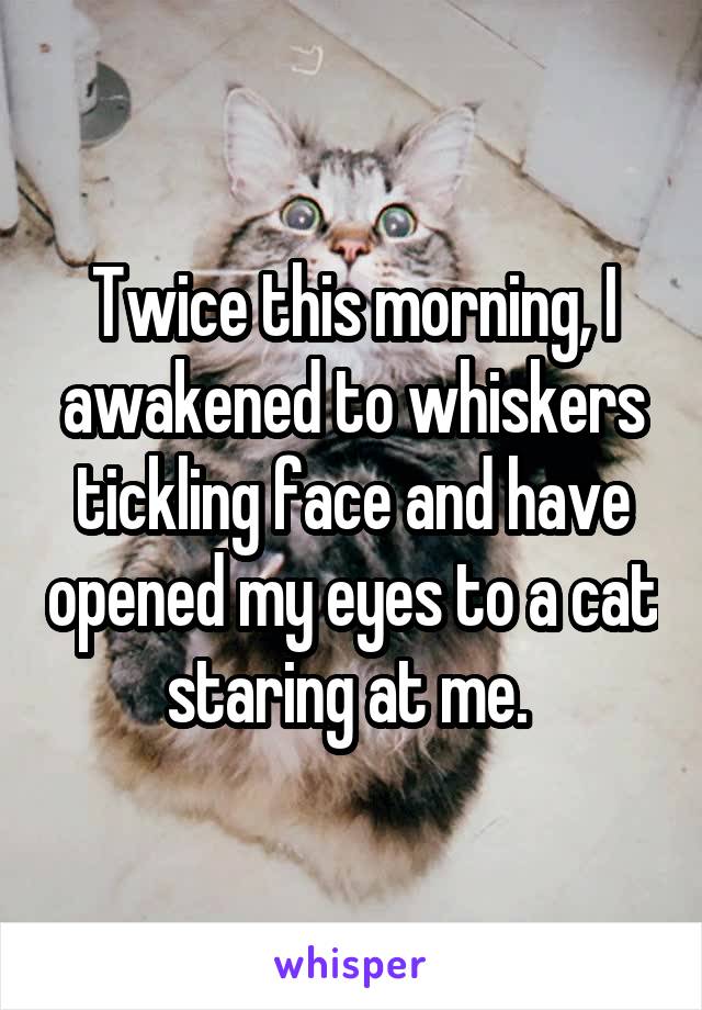 Twice this morning, I awakened to whiskers tickling face and have opened my eyes to a cat staring at me. 