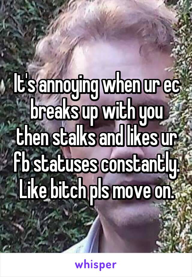 It's annoying when ur ec breaks up with you then stalks and likes ur fb statuses constantly. Like bitch pls move on.