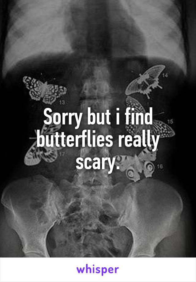 Sorry but i find butterflies really scary.