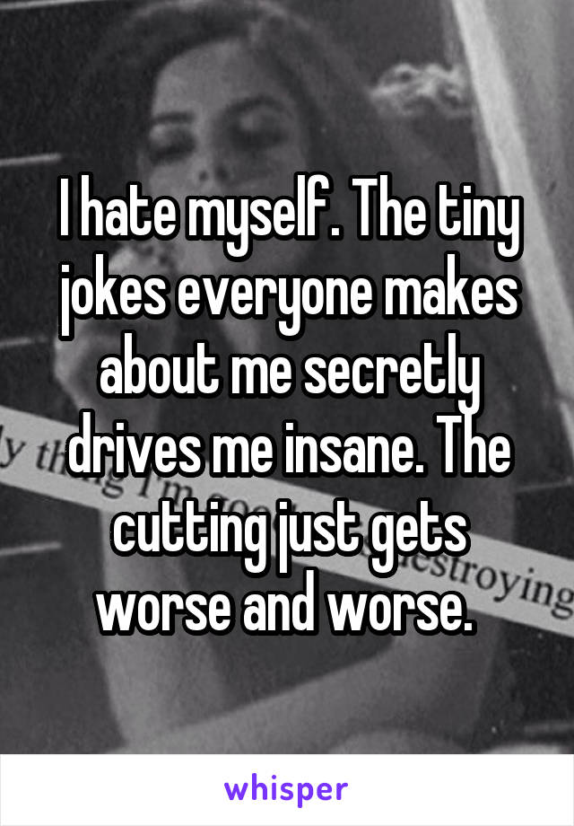 I hate myself. The tiny jokes everyone makes about me secretly drives me insane. The cutting just gets worse and worse. 