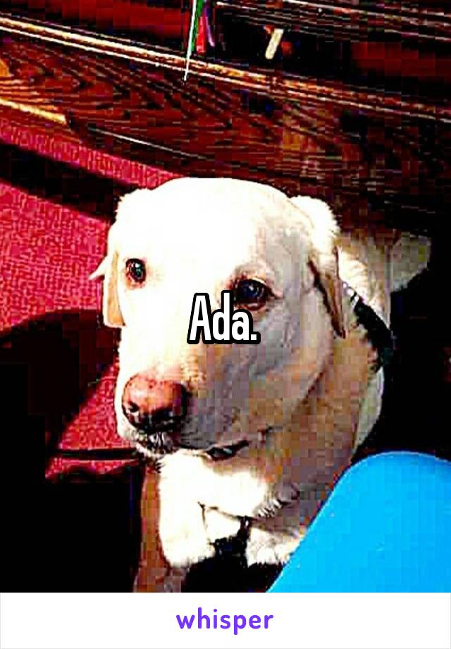 Ada. 