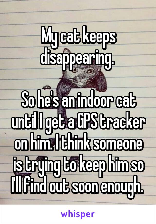 My cat keeps disappearing. 

So he's an indoor cat until I get a GPS tracker on him. I think someone is trying to keep him so I'll find out soon enough. 