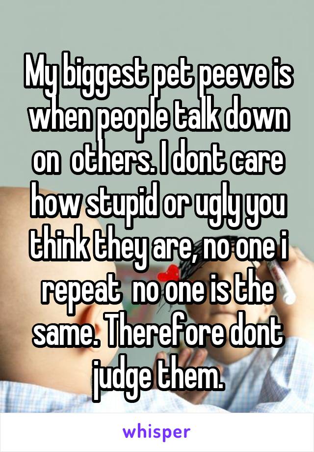 My biggest pet peeve is when people talk down on  others. I dont care how stupid or ugly you think they are, no one i repeat  no one is the same. Therefore dont judge them.