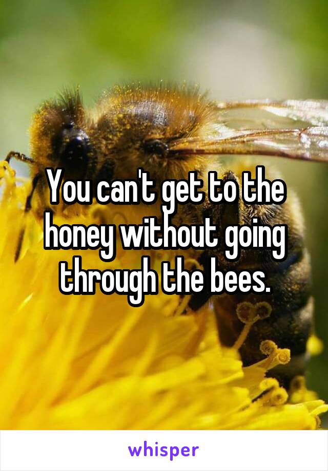 You can't get to the honey without going through the bees.