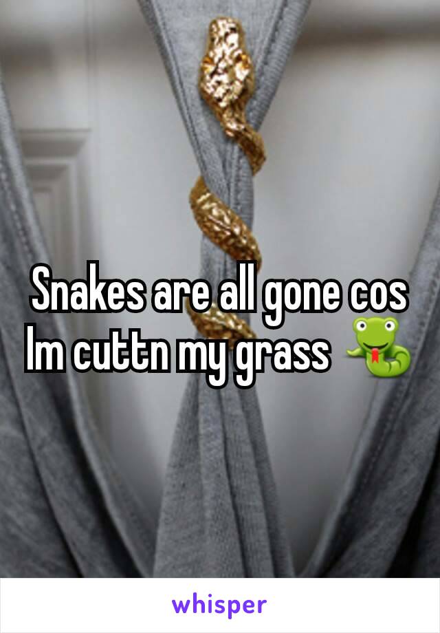 Snakes are all gone cos Im cuttn my grass 🐍