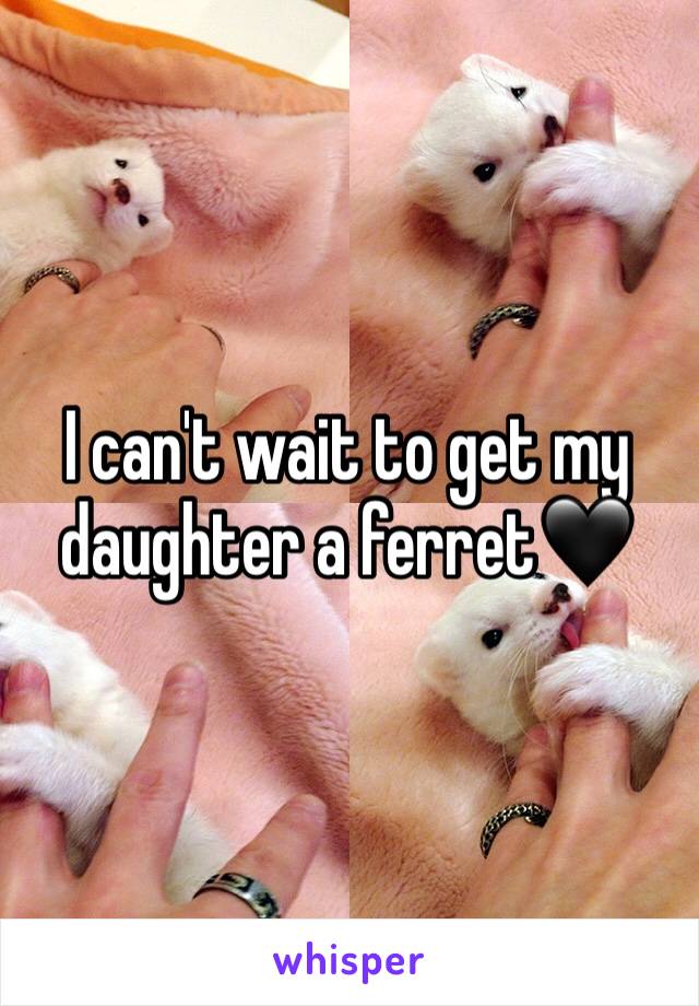 I can't wait to get my daughter a ferret🖤