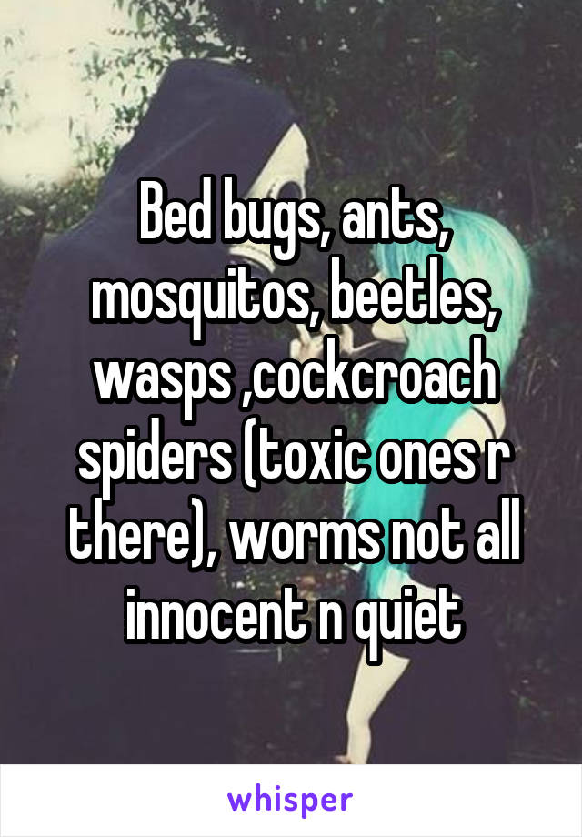 Bed bugs, ants, mosquitos, beetles, wasps ,cockcroach spiders (toxic ones r there), worms not all innocent n quiet