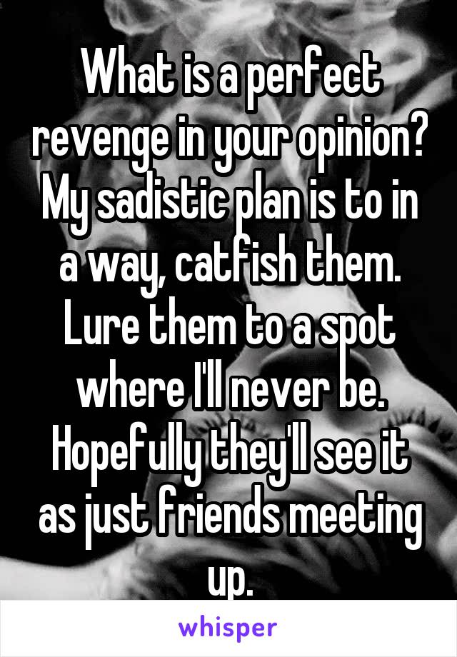 What is a perfect revenge in your opinion? My sadistic plan is to in a way, catfish them. Lure them to a spot where I'll never be. Hopefully they'll see it as just friends meeting up.