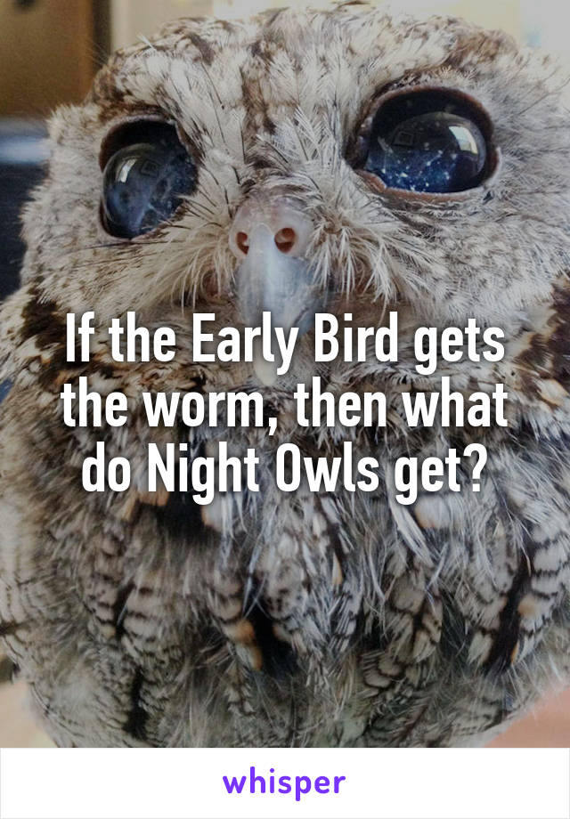 If the Early Bird gets the worm, then what do Night Owls get?