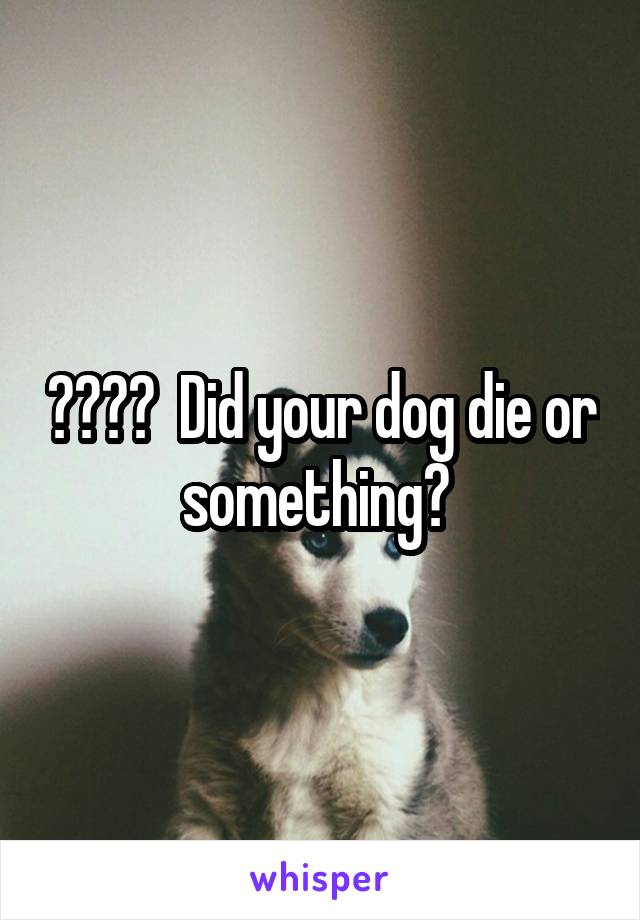 ????  Did your dog die or something? 