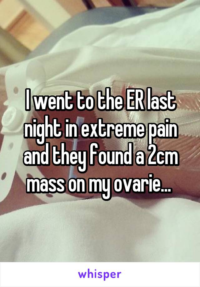 I went to the ER last night in extreme pain and they found a 2cm mass on my ovarie... 