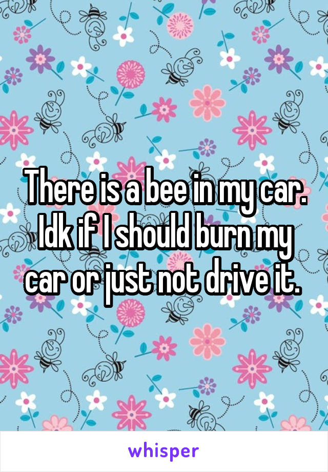 There is a bee in my car. Idk if I should burn my car or just not drive it. 